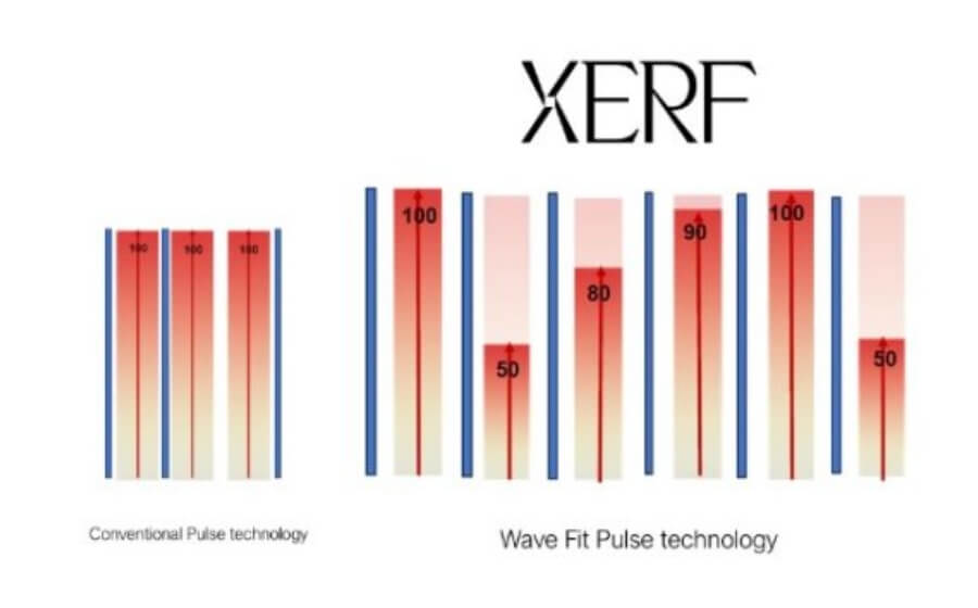 XERF浸透図